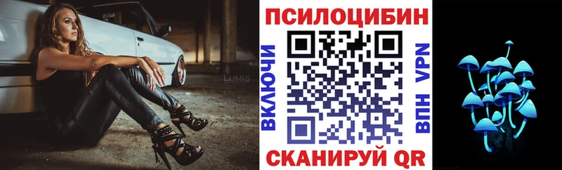 наркота  Трубчевск  нарко площадка клад  Галлюциногенные грибы ЛСД 